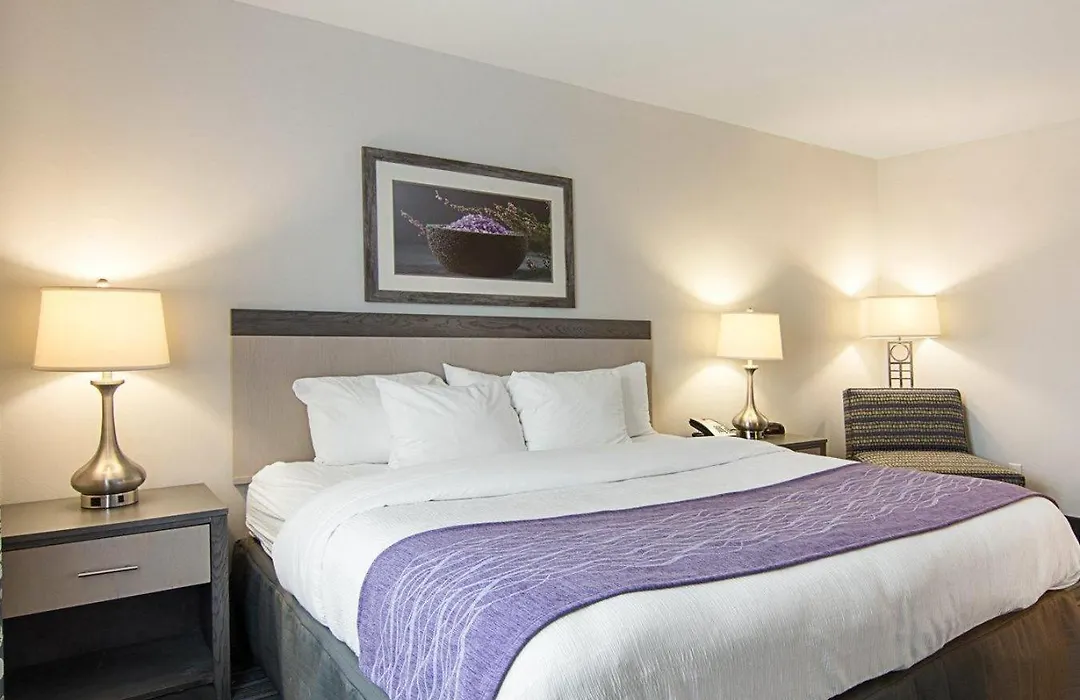 Comfort Inn Williamsburg Gateway-1