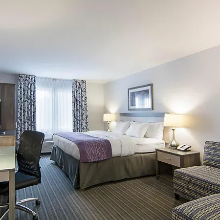 Comfort Inn Williamsburg Gateway-3